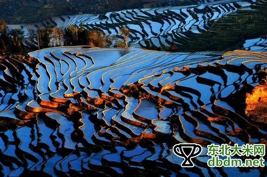 图片关键词